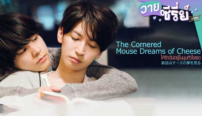 The Cornered Mouse Dreams of Cheese ให้รักฉันอยู่ในมุมหัวใจเธอ (พากย์ไทย) หนังวาย