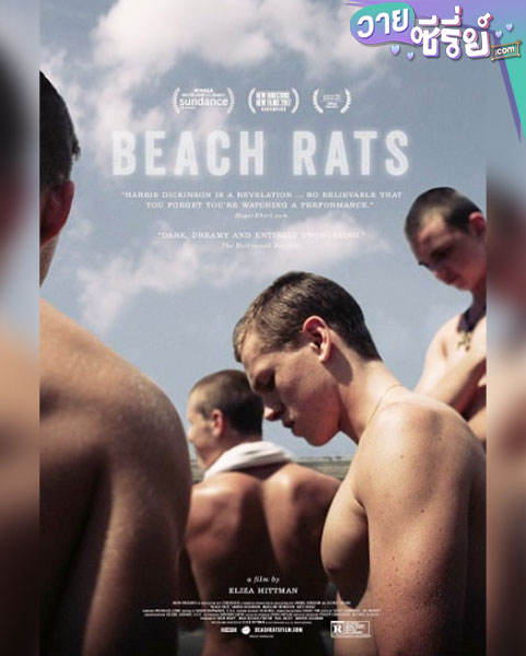 BEACH RATS บีช แรทส์ (ซับไทย) หนังวาย