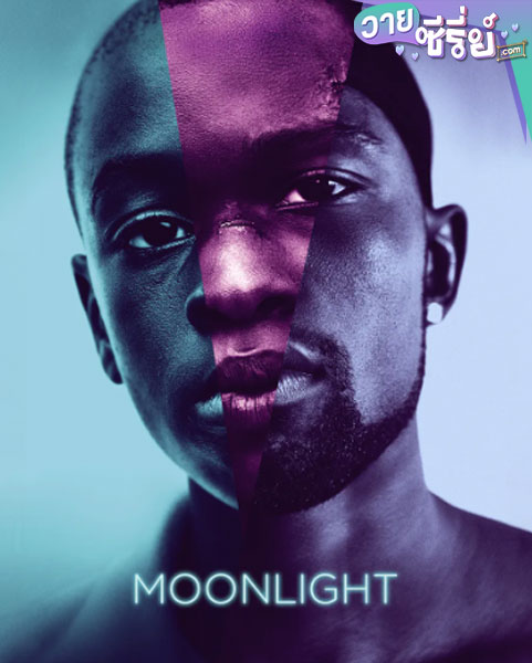 Moonlight (2016) มูนไลท์ ใต้แสงจันทร์ ทุกคนฝันถึงความรัก (พากย์ไทย) หนังวาย