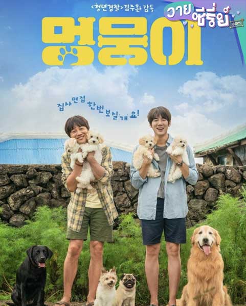 My Heart Puppy (ซับไทย) หนังวาย